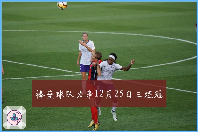 棒垒球队力争12月25日三连冠