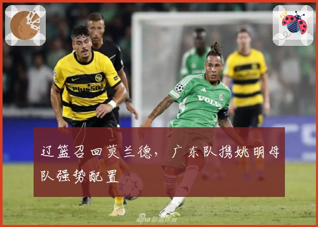 辽篮召回莫兰德，广东队携姚明母队强势配置