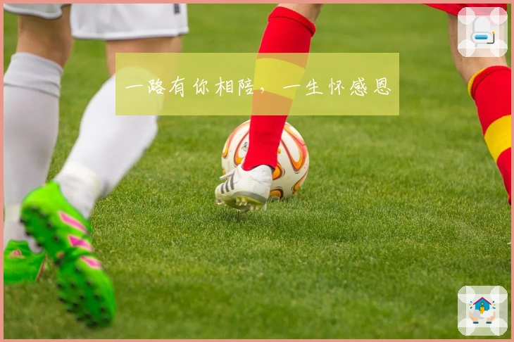 一路有你相陪，一生怀感恩