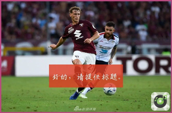 好的,请提供标题。