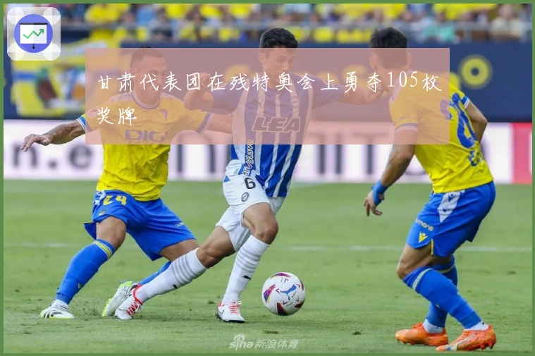 甘肃代表团在残特奥会上勇夺105枚奖牌