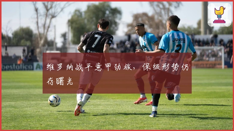 维罗纳战平意甲劲旅，保级形势仍存曙光