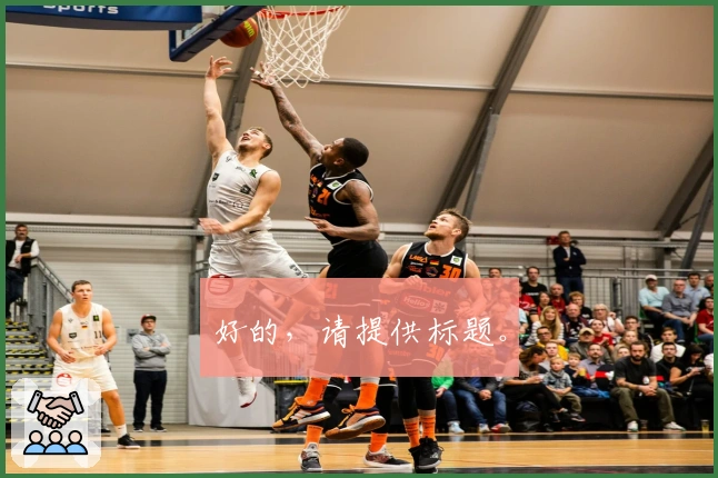 好的，请提供标题。